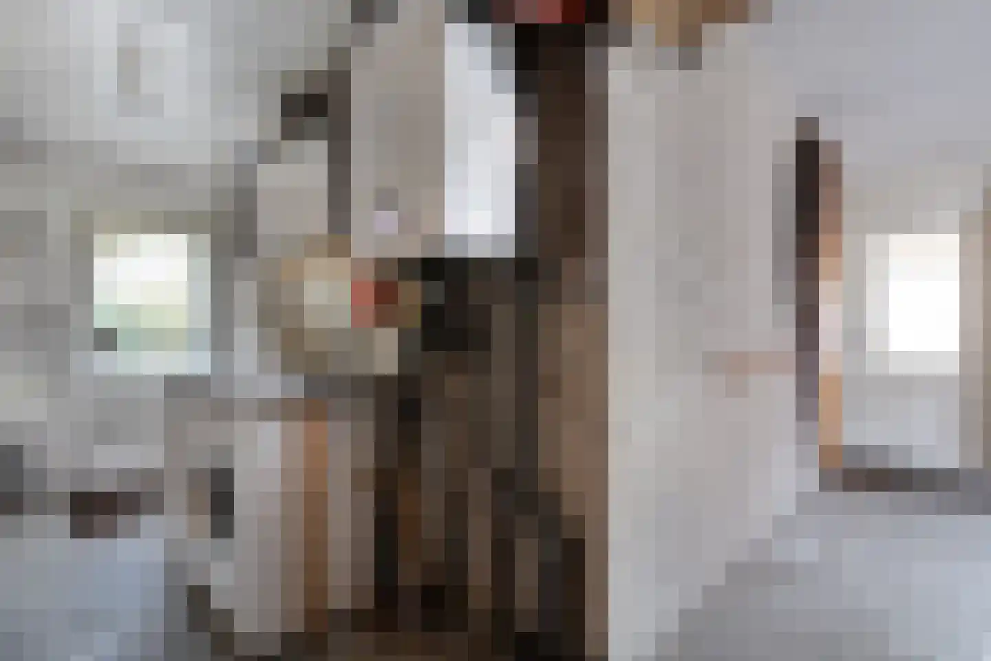 Zwolsestraat 24 Raalte thumbnail 30