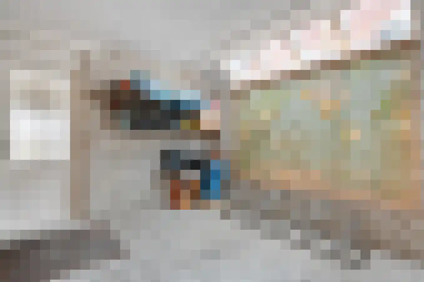 Zwolsestraat 24 Raalte thumbnail 31