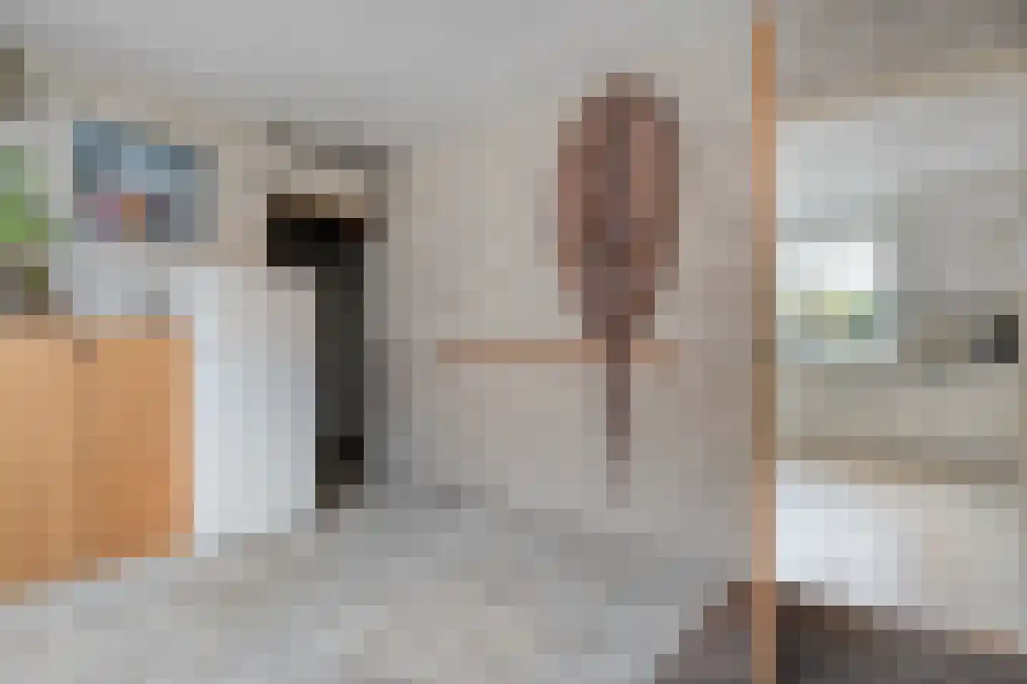 Zwolsestraat 24 Raalte thumbnail 32
