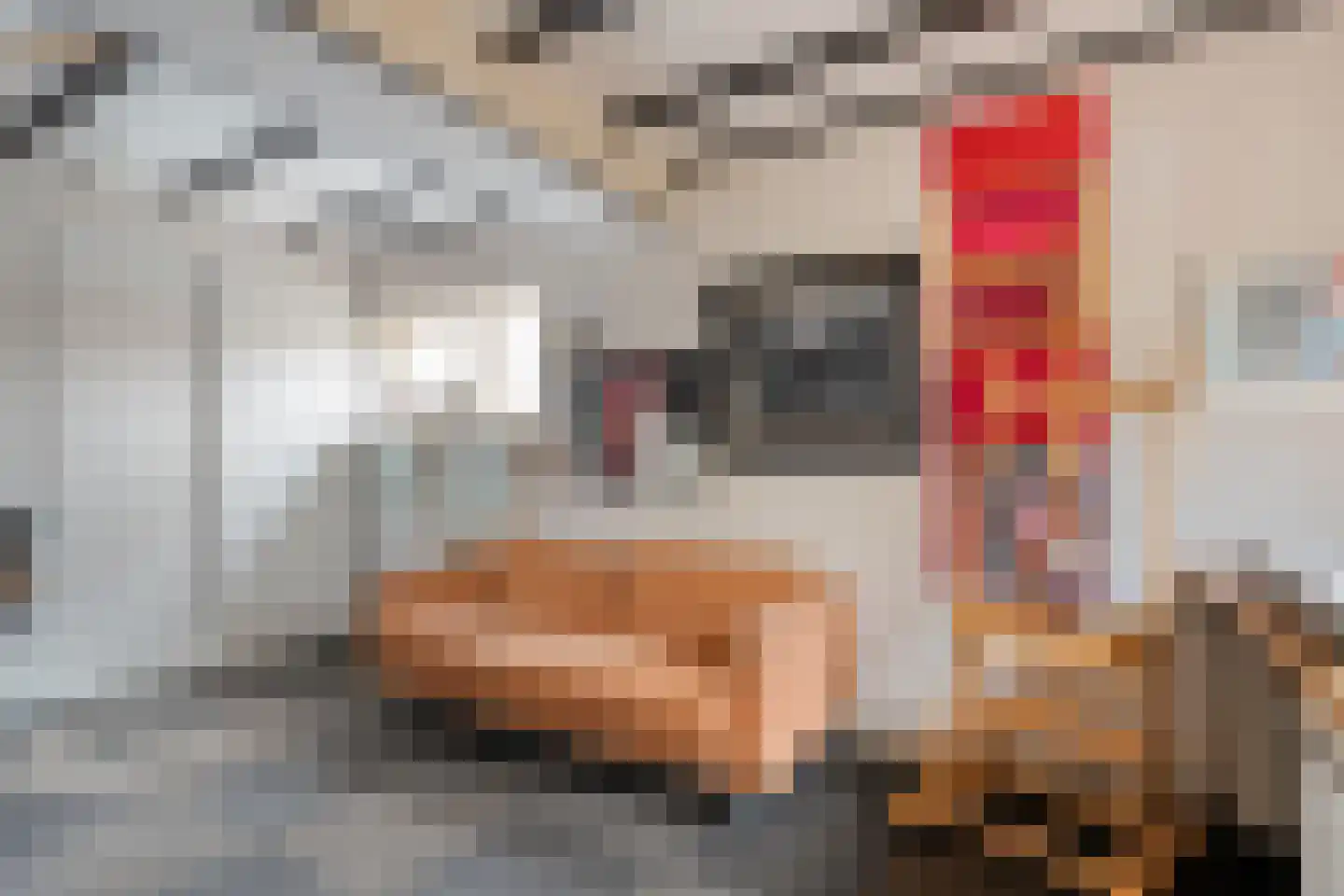 Zwolsestraat 24 Raalte thumbnail 33