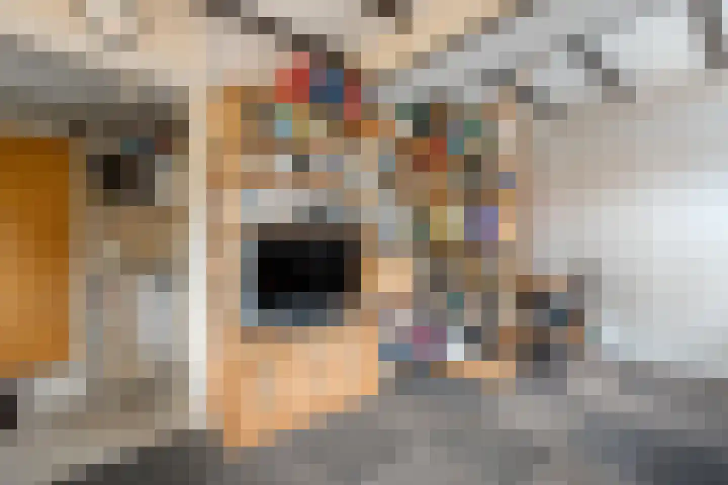 Zwolsestraat 24 Raalte thumbnail 34
