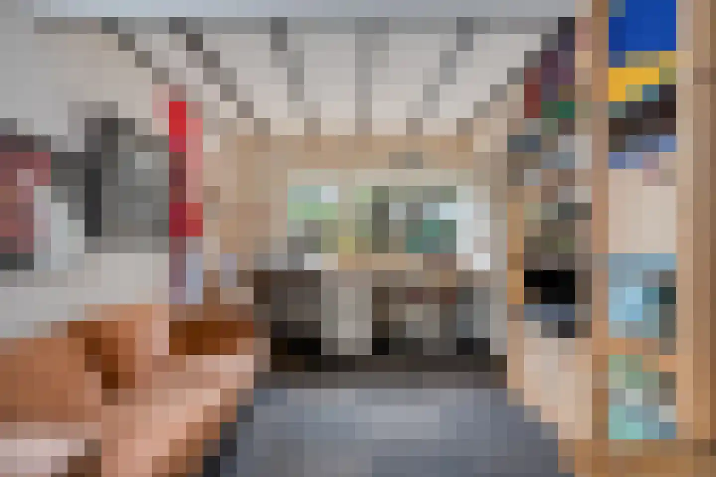 Zwolsestraat 24 Raalte thumbnail 35