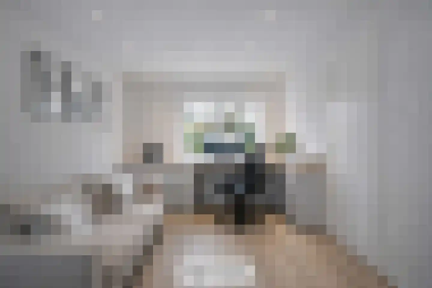Zwolsestraat 24 Raalte thumbnail 36