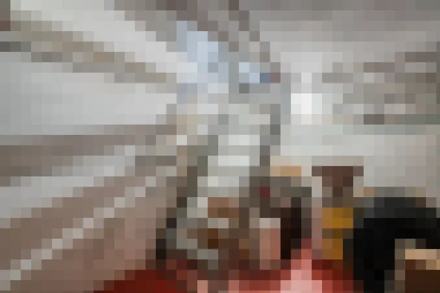 Zwolsestraat 24 Raalte thumbnail 37