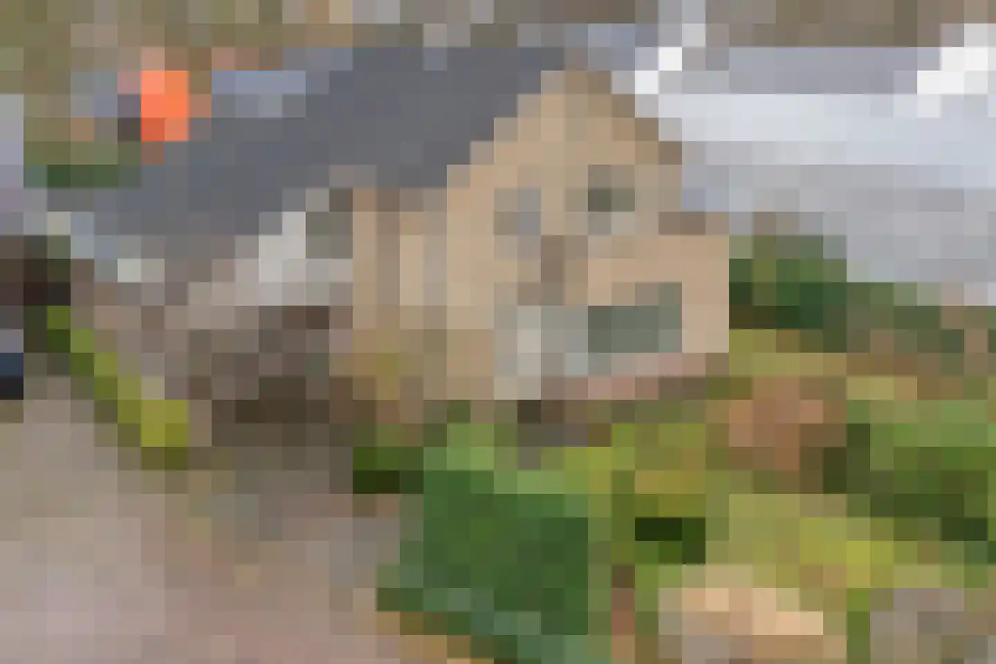 Zwolsestraat 24 Raalte thumbnail 4