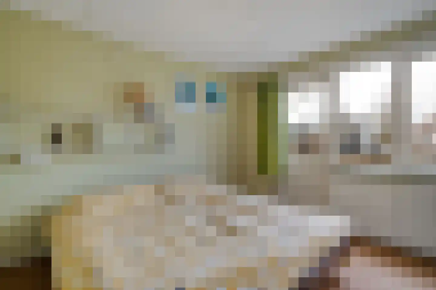 Zwolsestraat 24 Raalte thumbnail 43