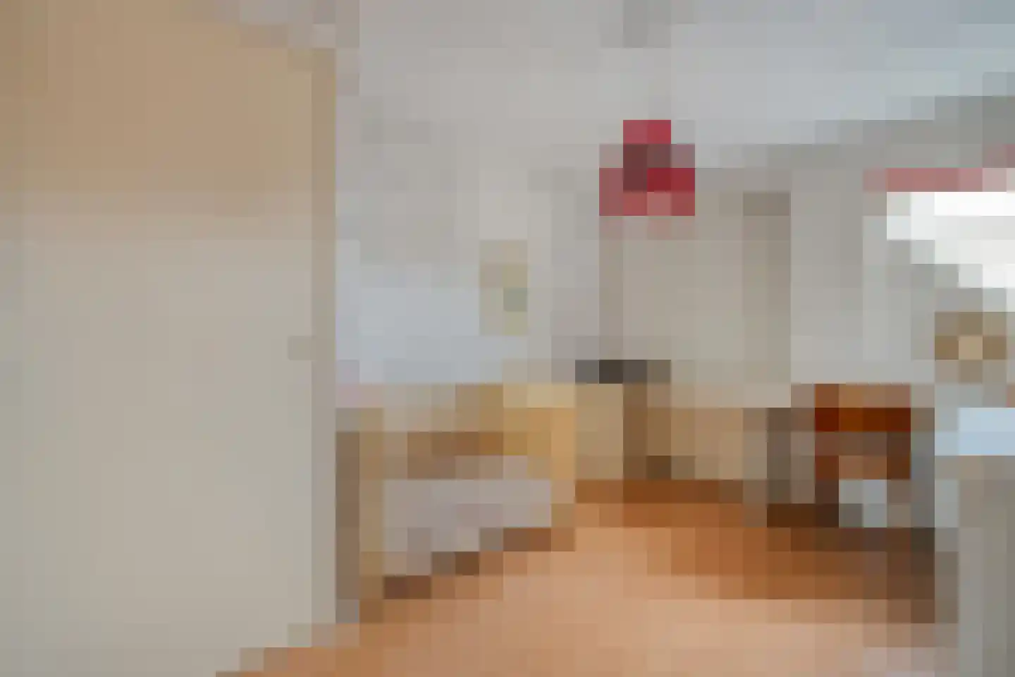 Zwolsestraat 24 Raalte thumbnail 47