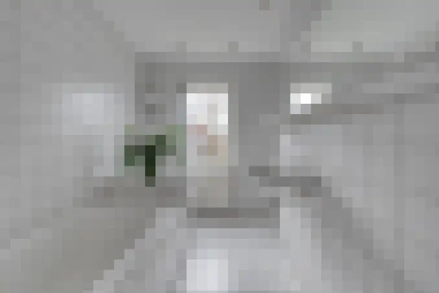 Zwolsestraat 24 Raalte thumbnail 49