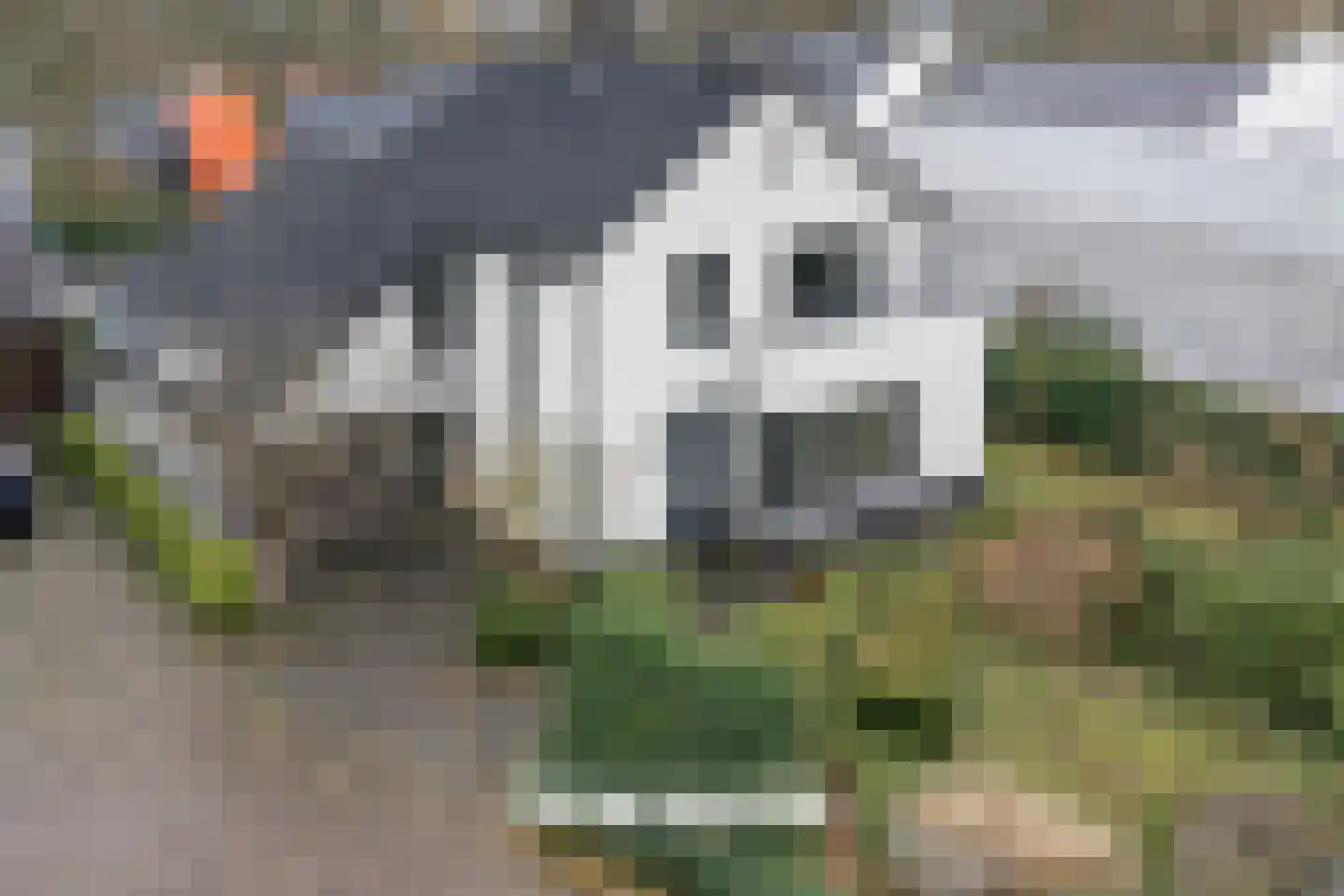 Zwolsestraat 24 Raalte thumbnail 5