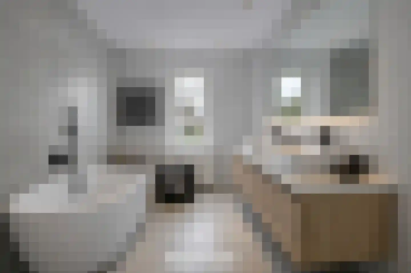 Zwolsestraat 24 Raalte thumbnail 50