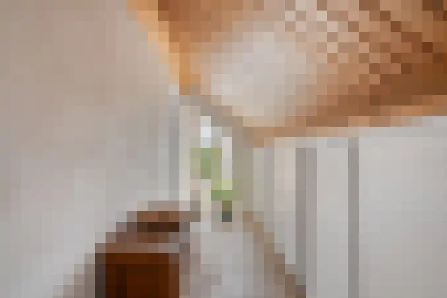 Zwolsestraat 24 Raalte thumbnail 54