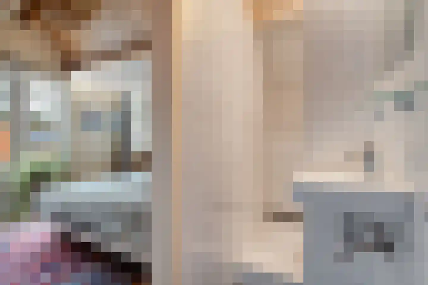 Zwolsestraat 24 Raalte thumbnail 57