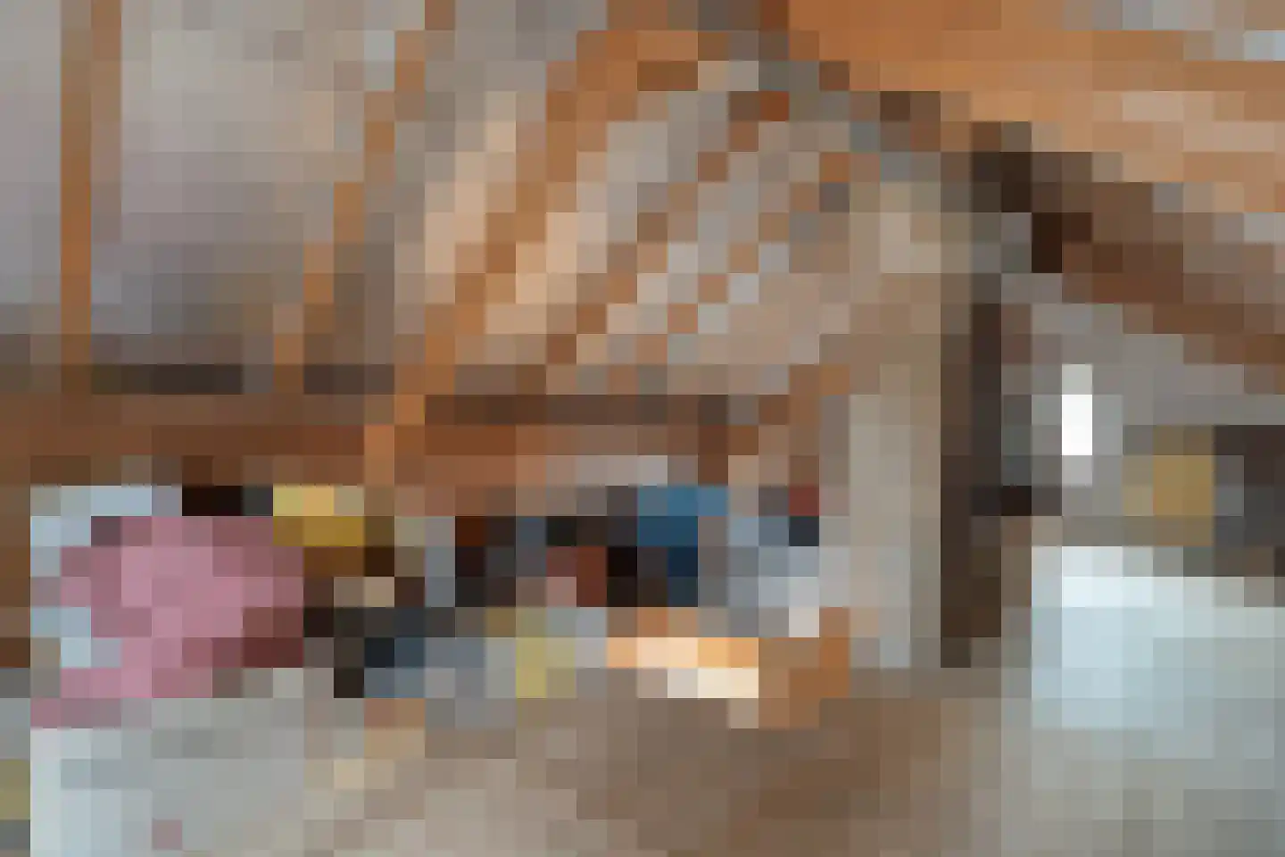 Zwolsestraat 24 Raalte thumbnail 58