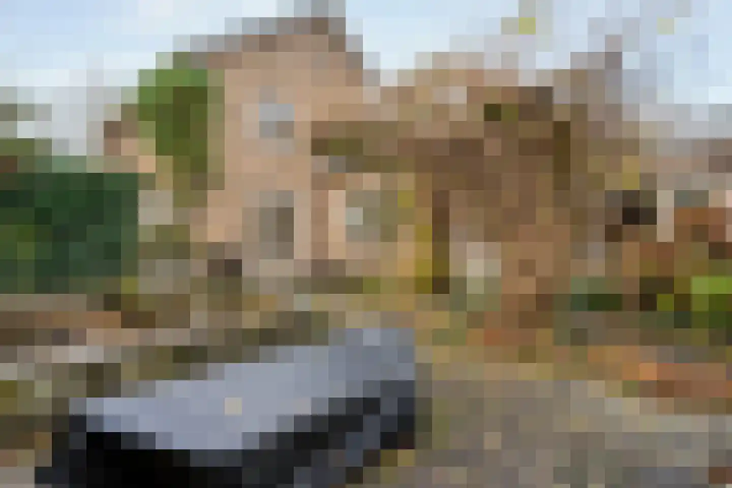 Zwolsestraat 24 Raalte thumbnail 61