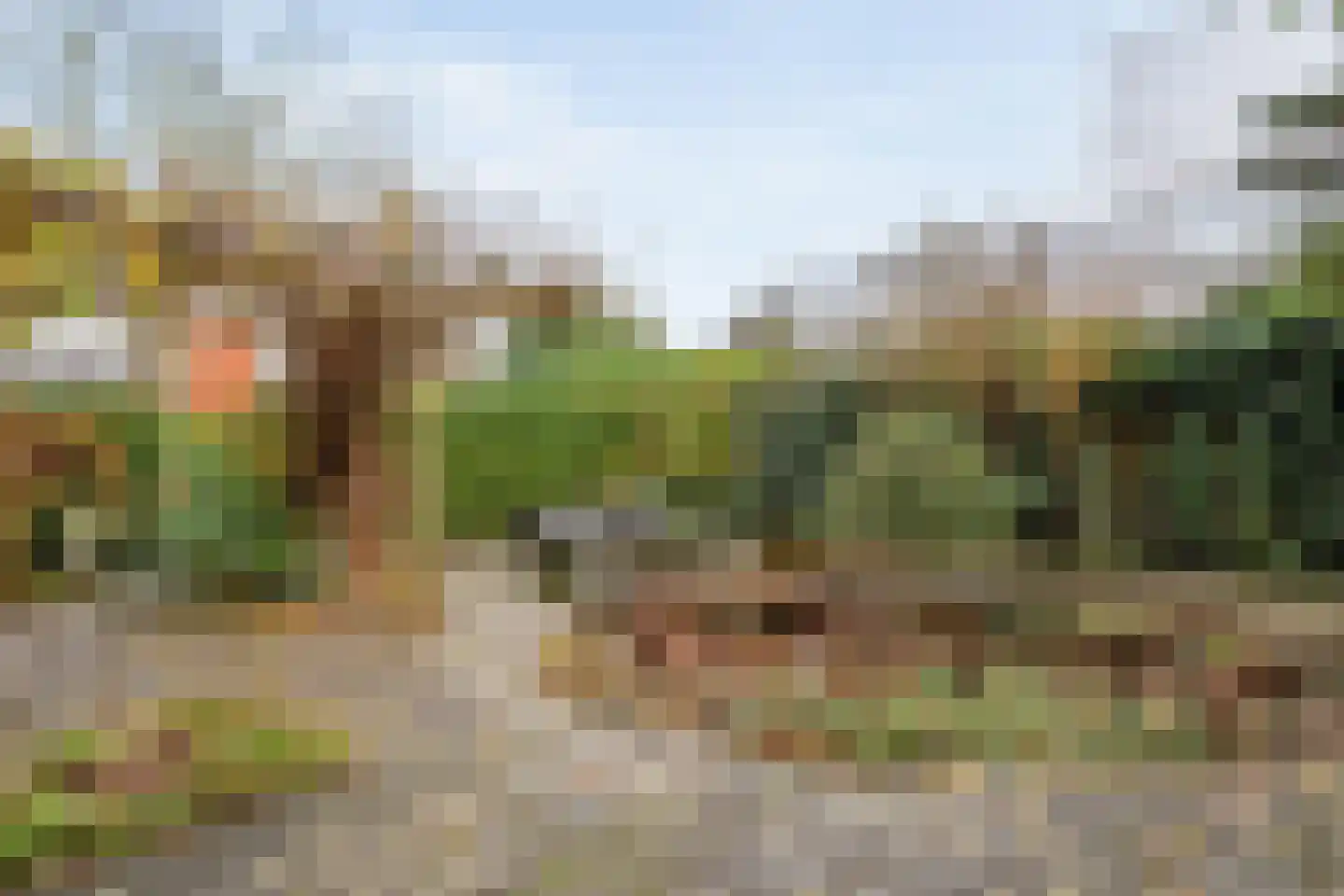 Zwolsestraat 24 Raalte thumbnail 64