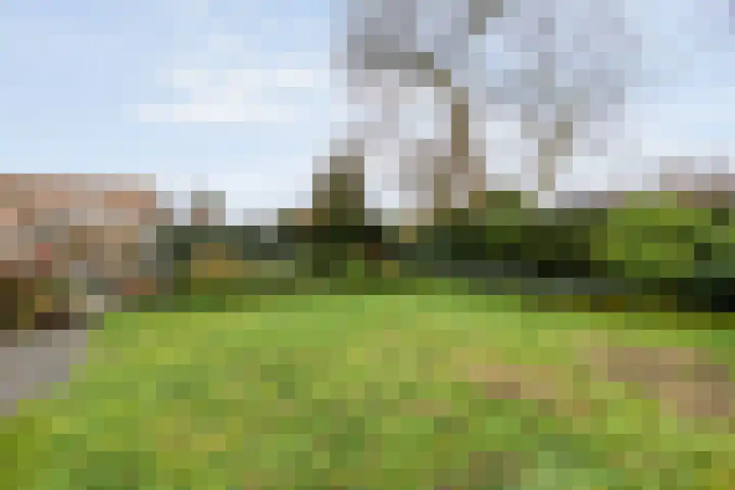 Zwolsestraat 24 Raalte thumbnail 65