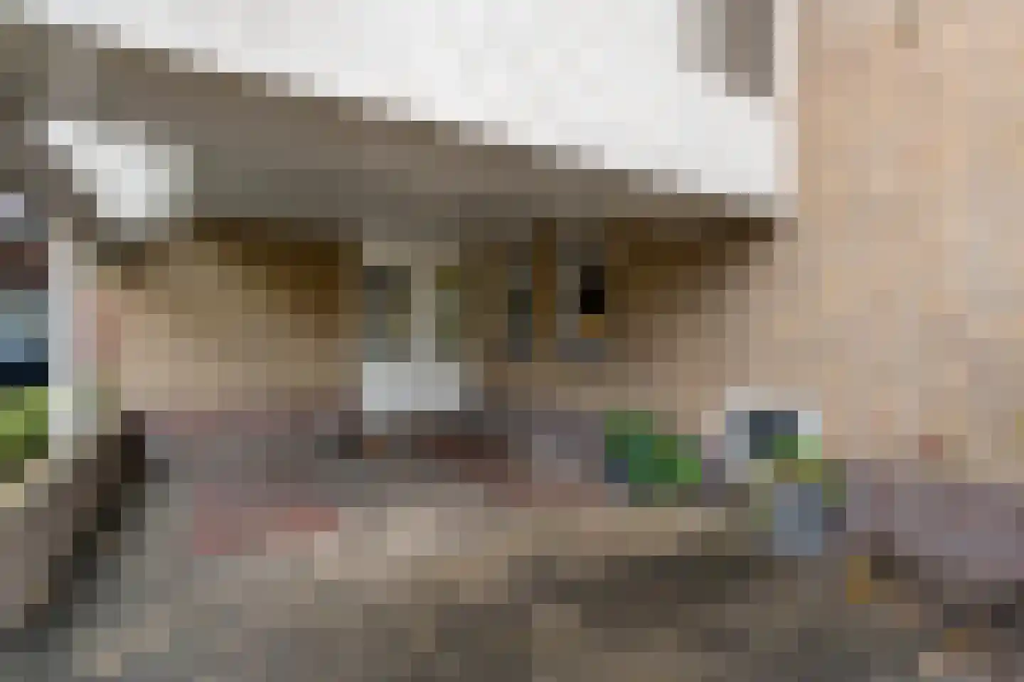 Zwolsestraat 24 Raalte thumbnail 7