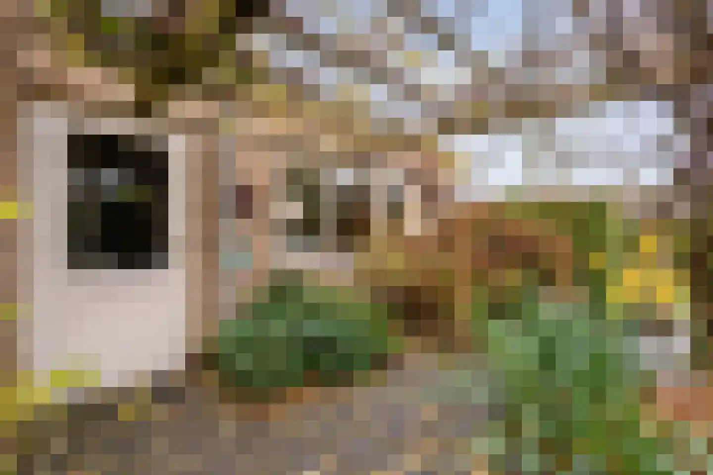 Zwolsestraat 24 Raalte thumbnail 70