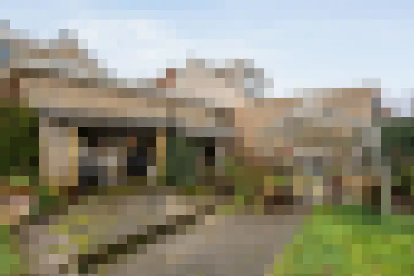 Zwolsestraat 24 Raalte thumbnail 71