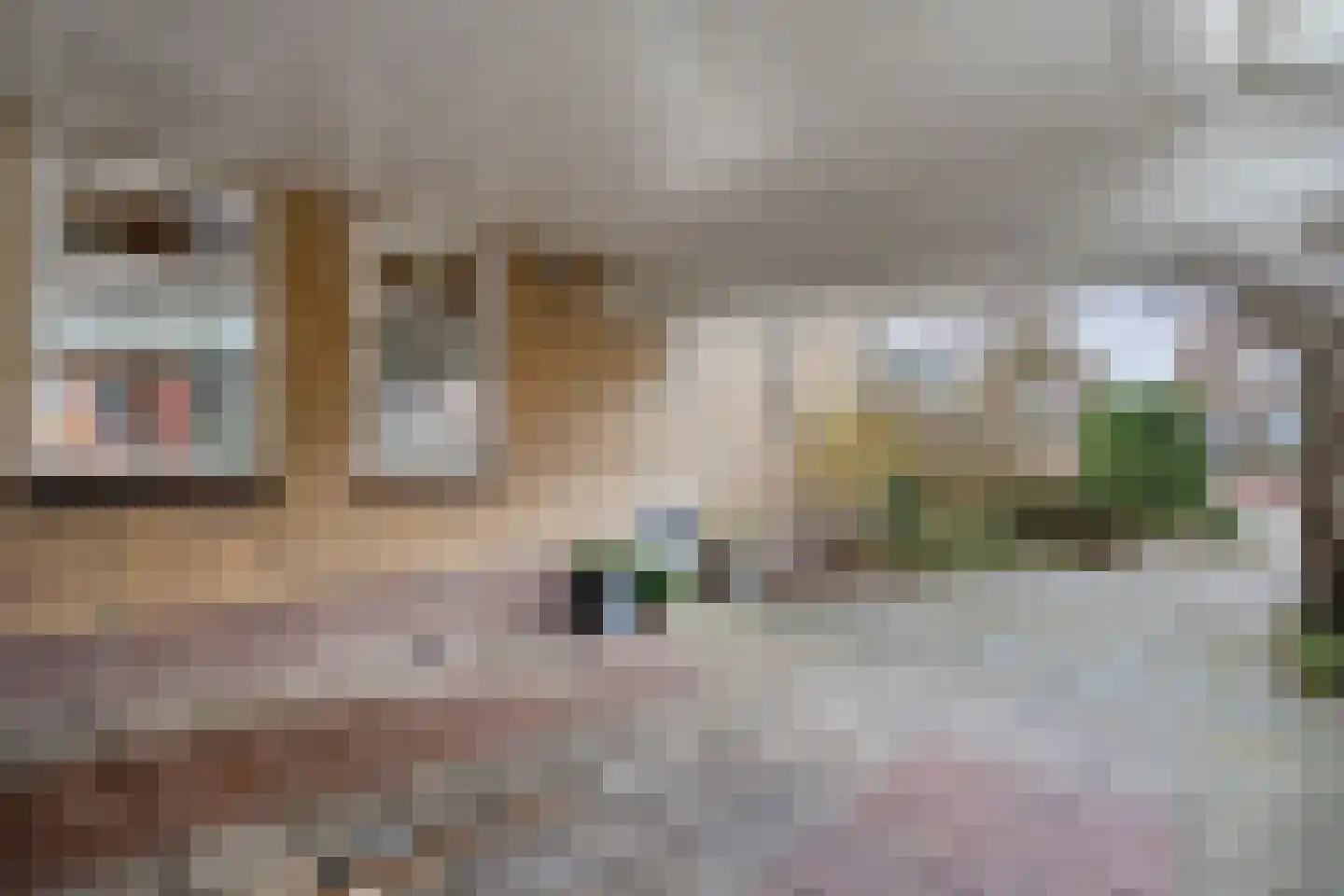 Zwolsestraat 24 Raalte thumbnail 8
