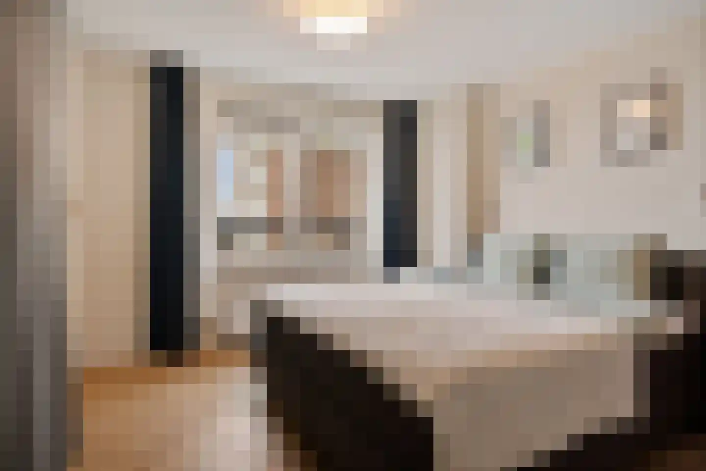 Zwolsestraat 244 Den Haag thumbnail 28