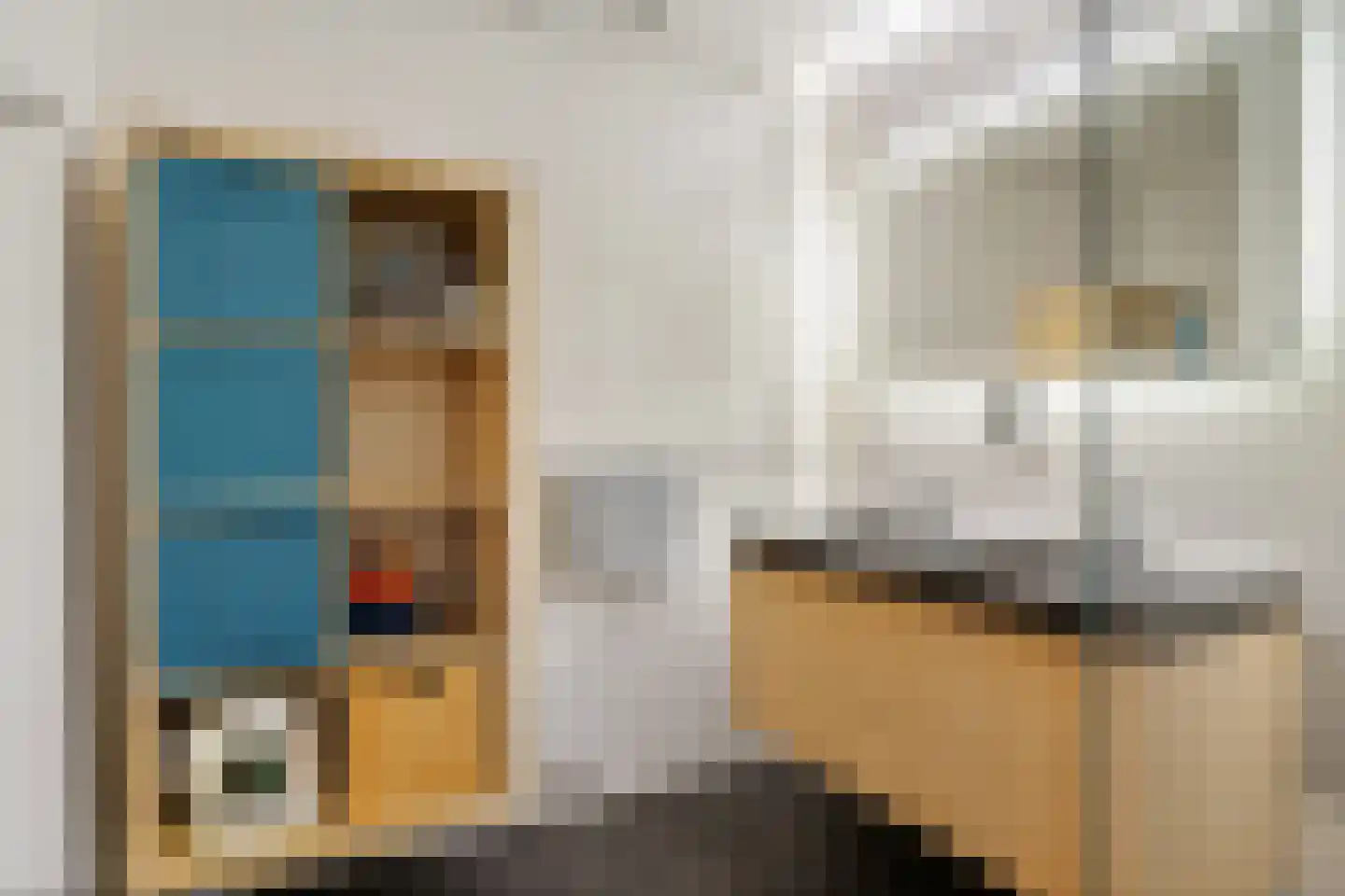 Zwolsestraat 244 Den Haag thumbnail 34