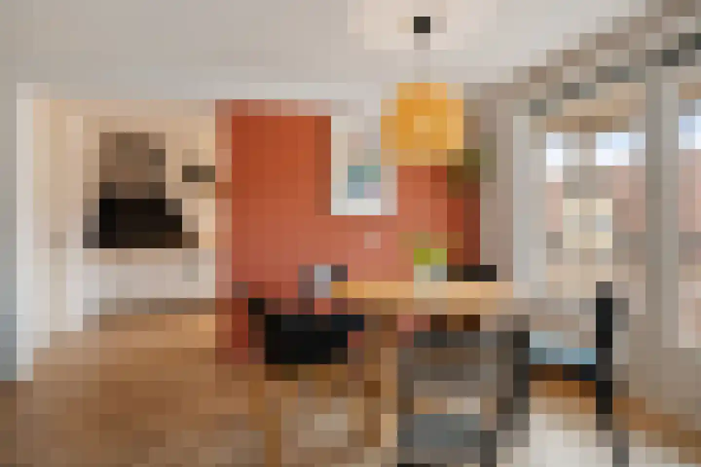 Zwolsestraat 244 Den Haag thumbnail 4