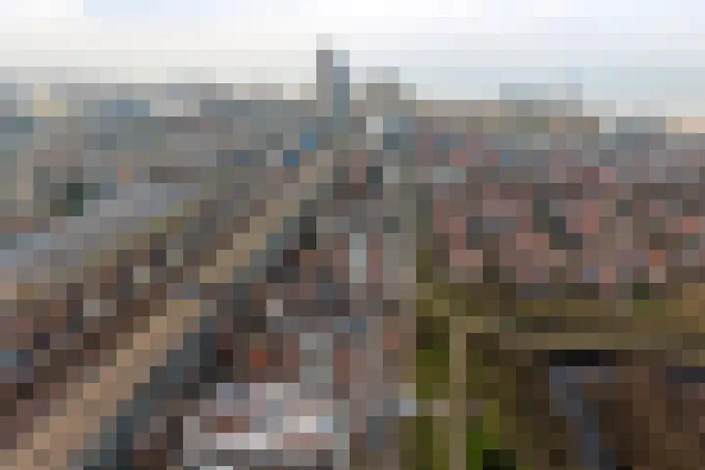 Zwolsestraat 244 Den Haag thumbnail 5