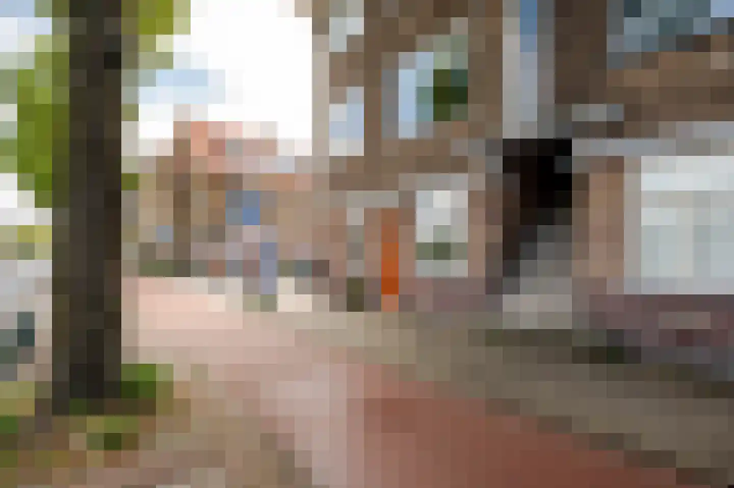 Zwolsestraat 247 Den Haag thumbnail 6