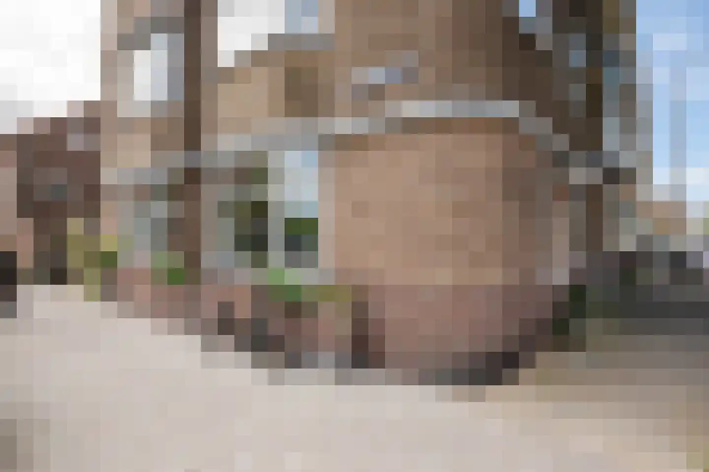 Zwolsestraat 247 Den Haag thumbnail 7