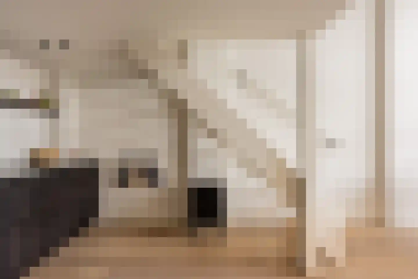 Zwolsestraat 265 Den Haag thumbnail 8
