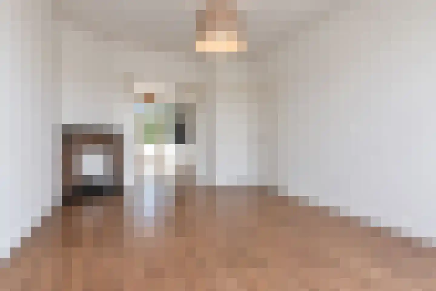 Zwolsestraat 273 Den Haag thumbnail 10
