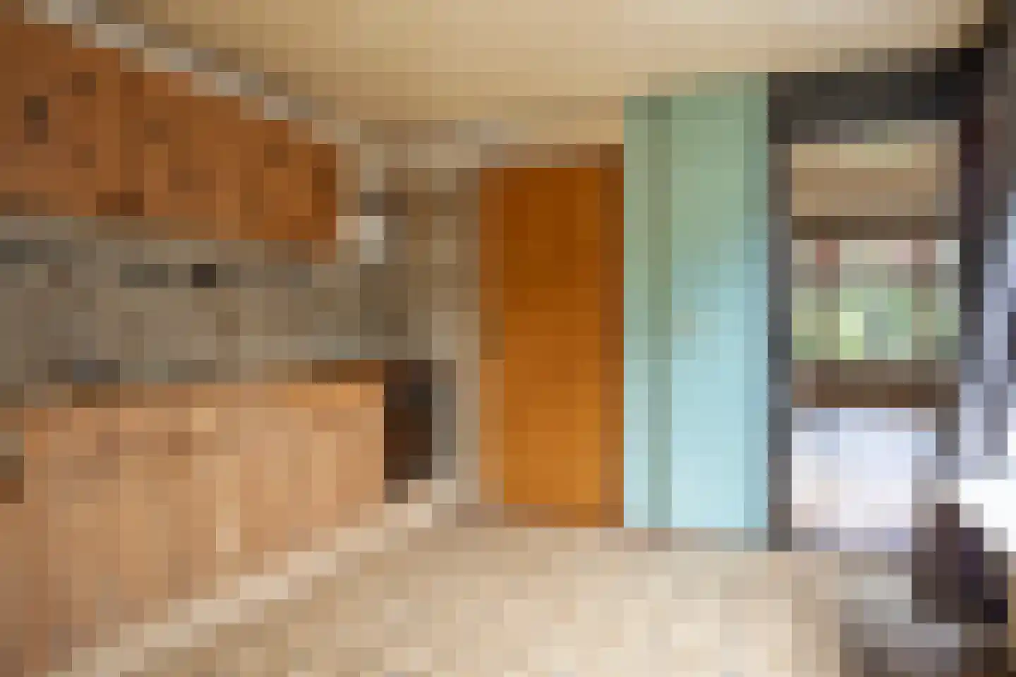 Zwolsestraat 31 Raalte thumbnail 12