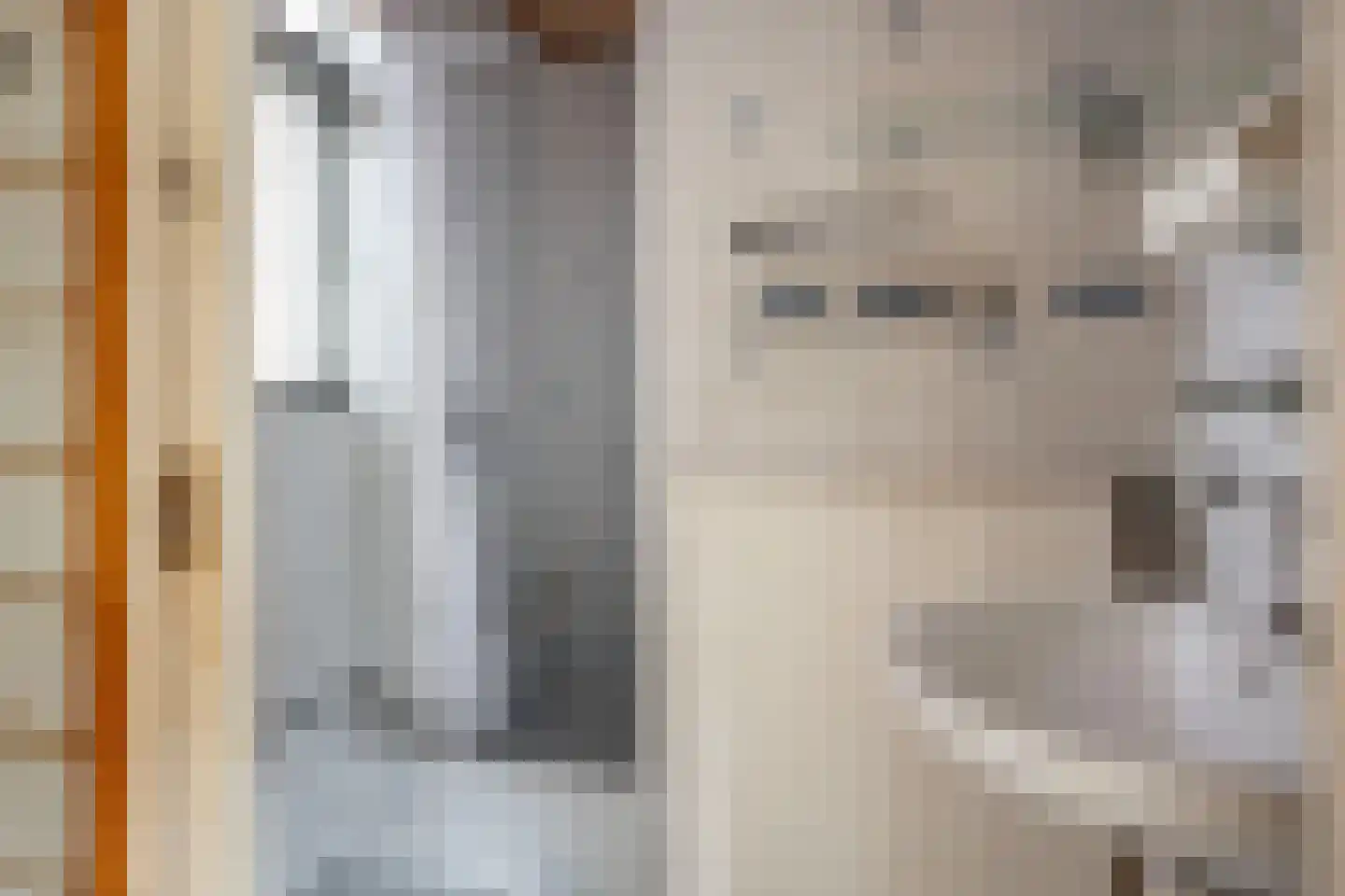 Zwolsestraat 31 Raalte thumbnail 17