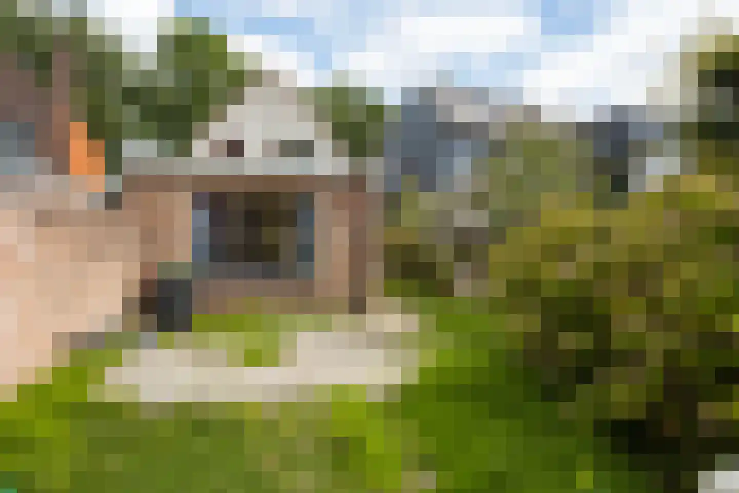 Zwolsestraat 31 Raalte thumbnail 20