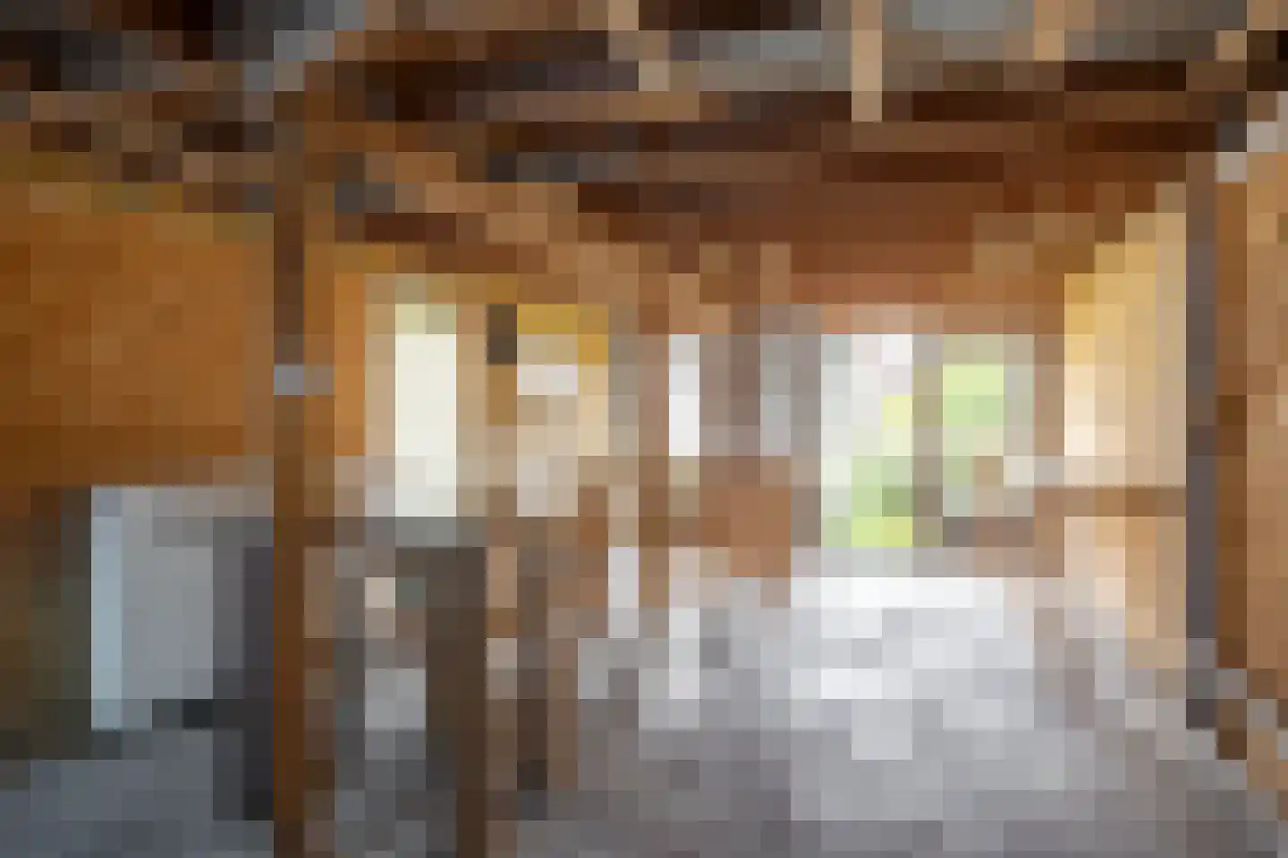 Zwolsestraat 31 Raalte thumbnail 23