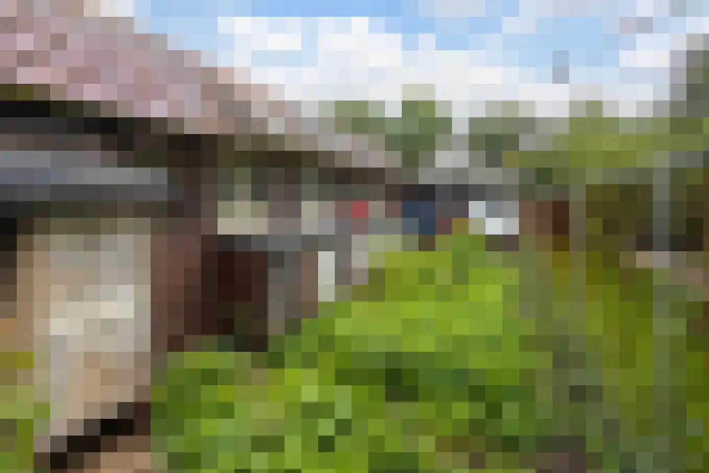 Zwolsestraat 31 Raalte thumbnail 24