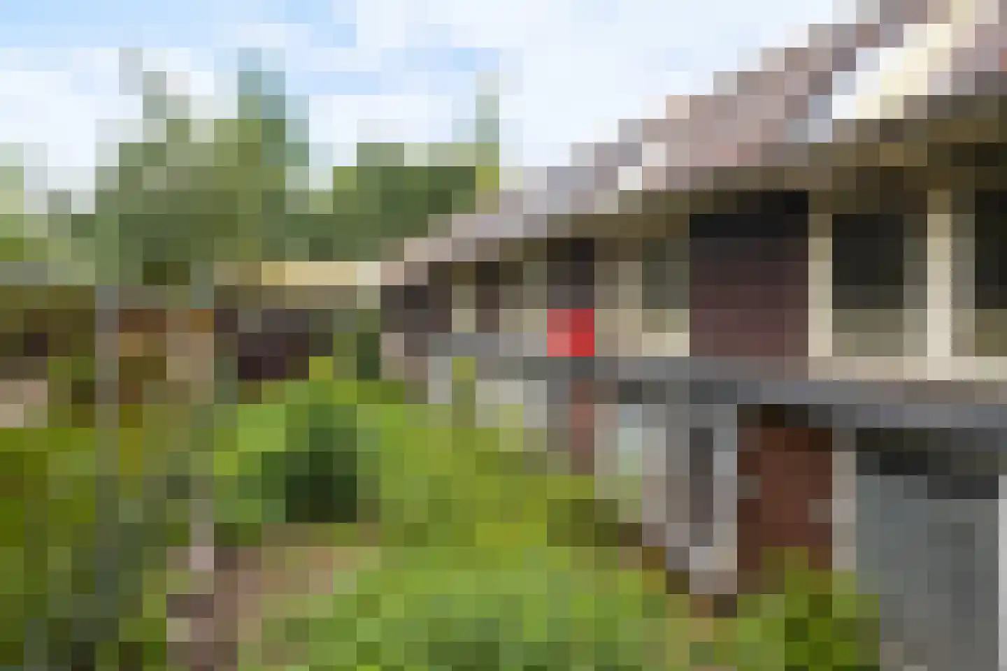 Zwolsestraat 31 Raalte thumbnail 25