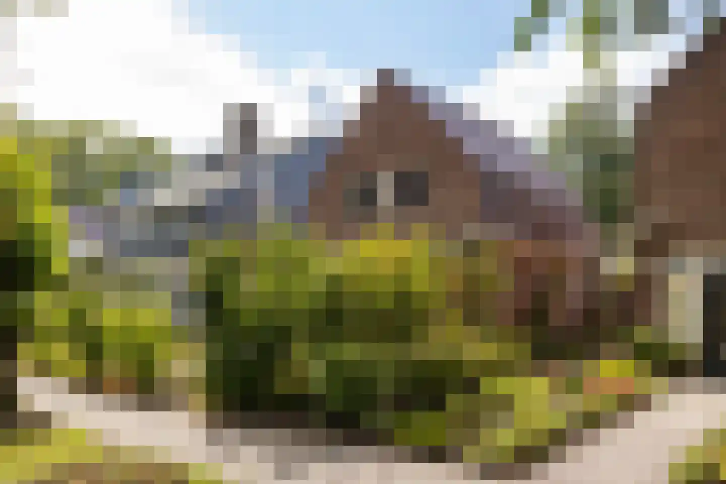Zwolsestraat 31 Raalte thumbnail 26