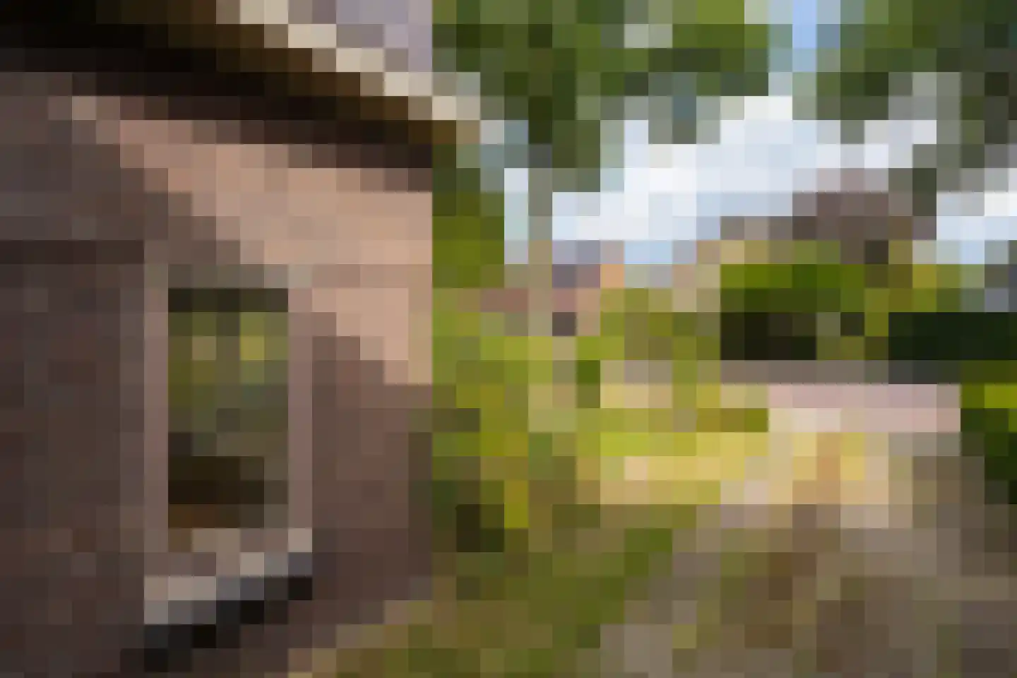 Zwolsestraat 31 Raalte thumbnail 27