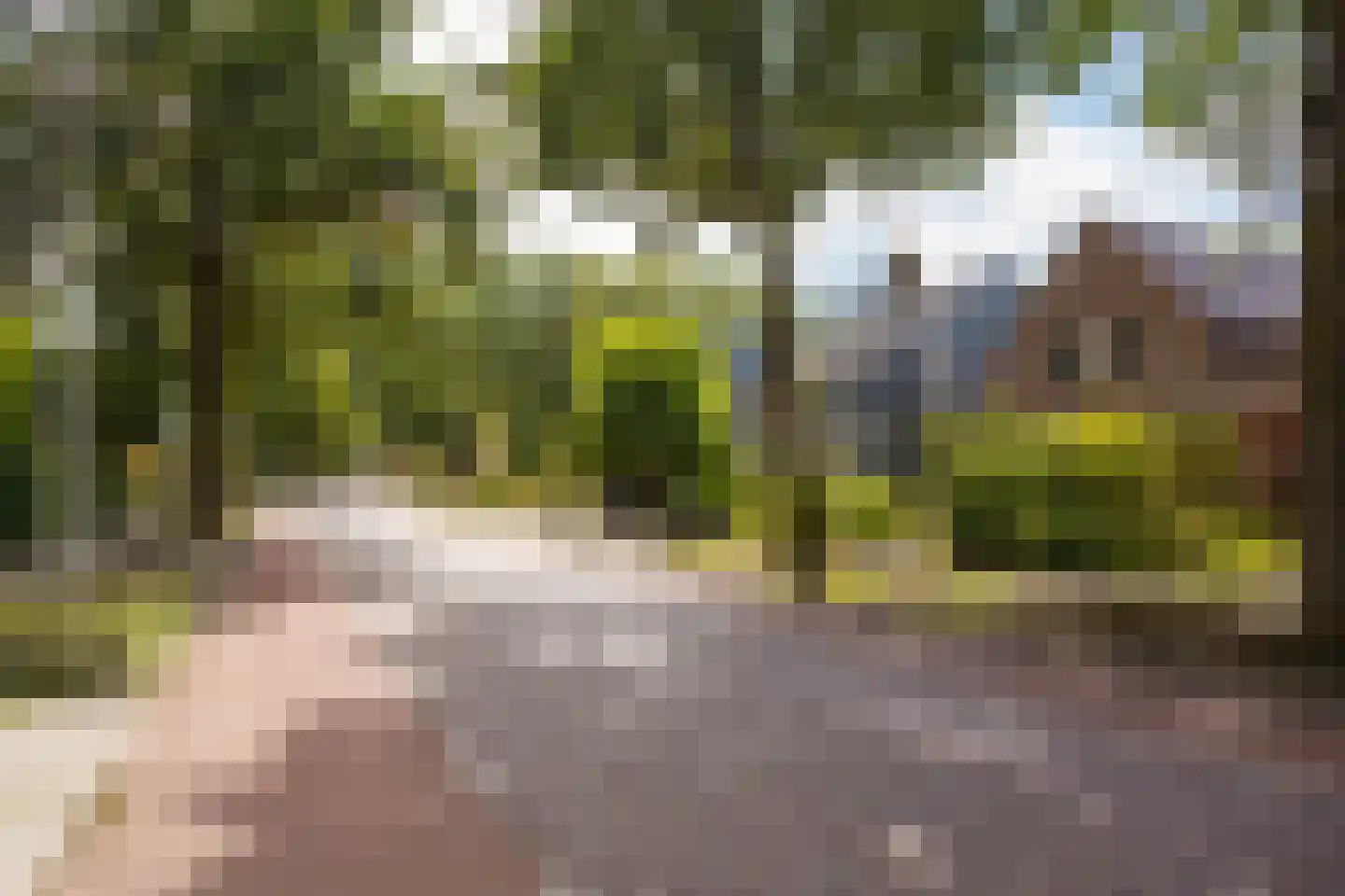 Zwolsestraat 31 Raalte thumbnail 29