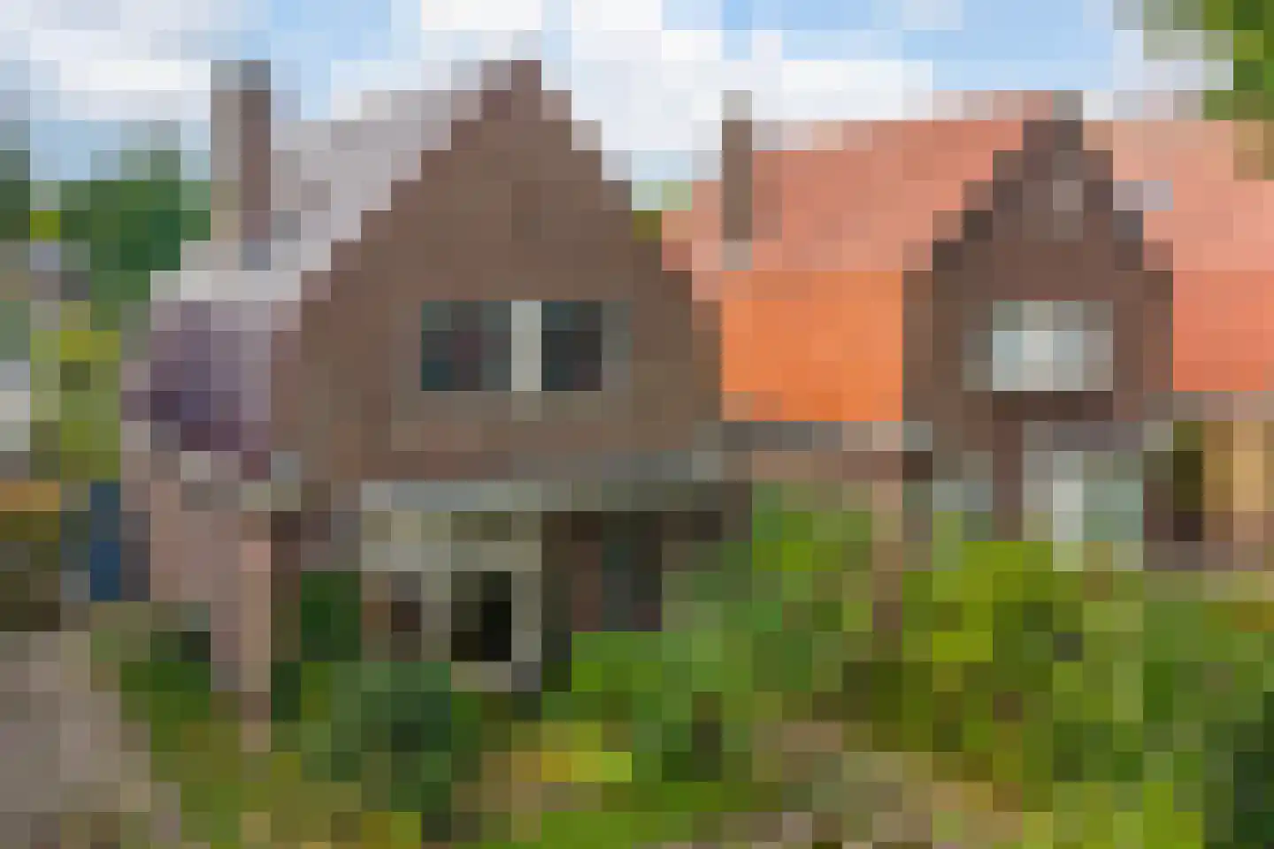 Zwolsestraat 31 Raalte foto 3