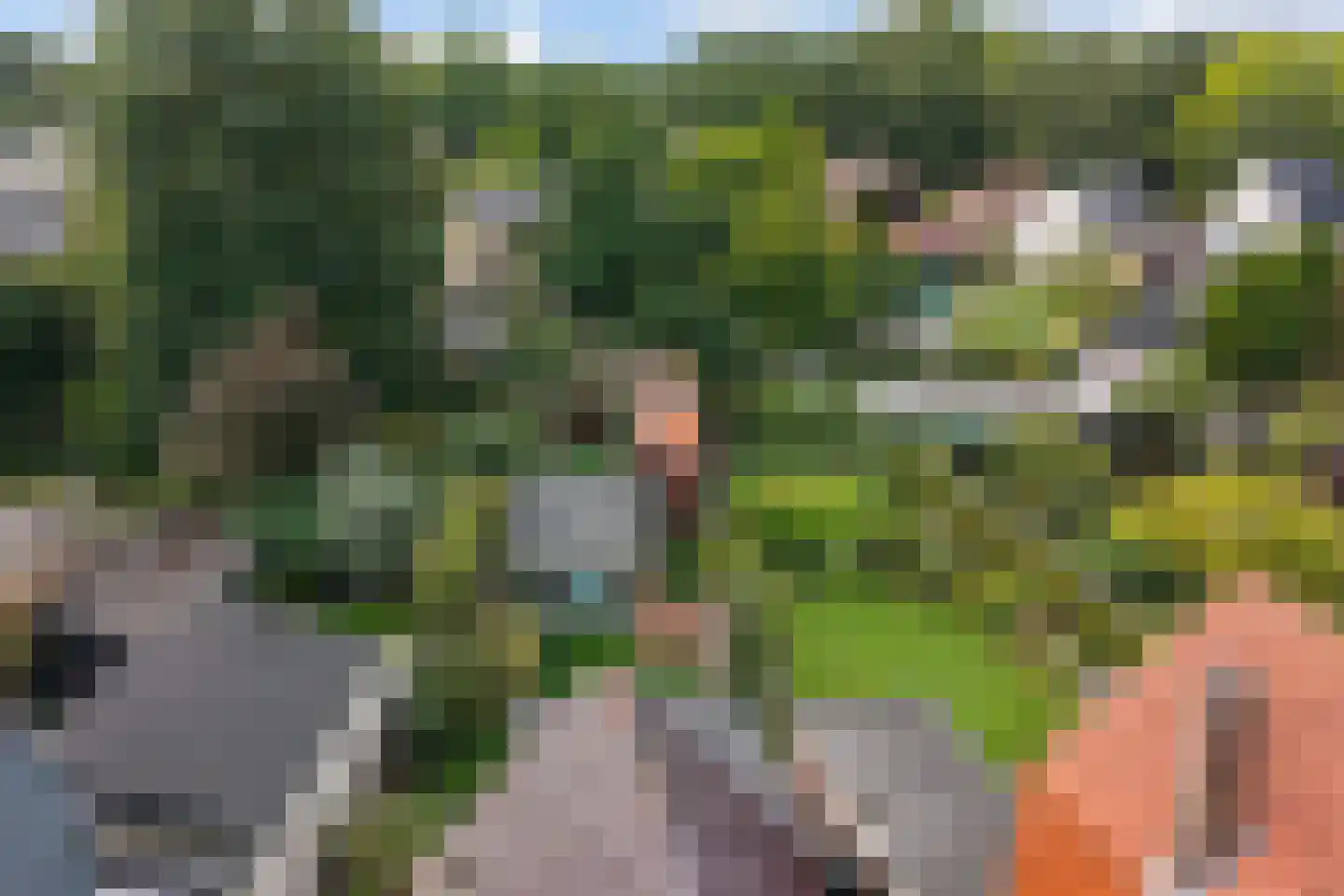 Zwolsestraat 31 Raalte thumbnail 30