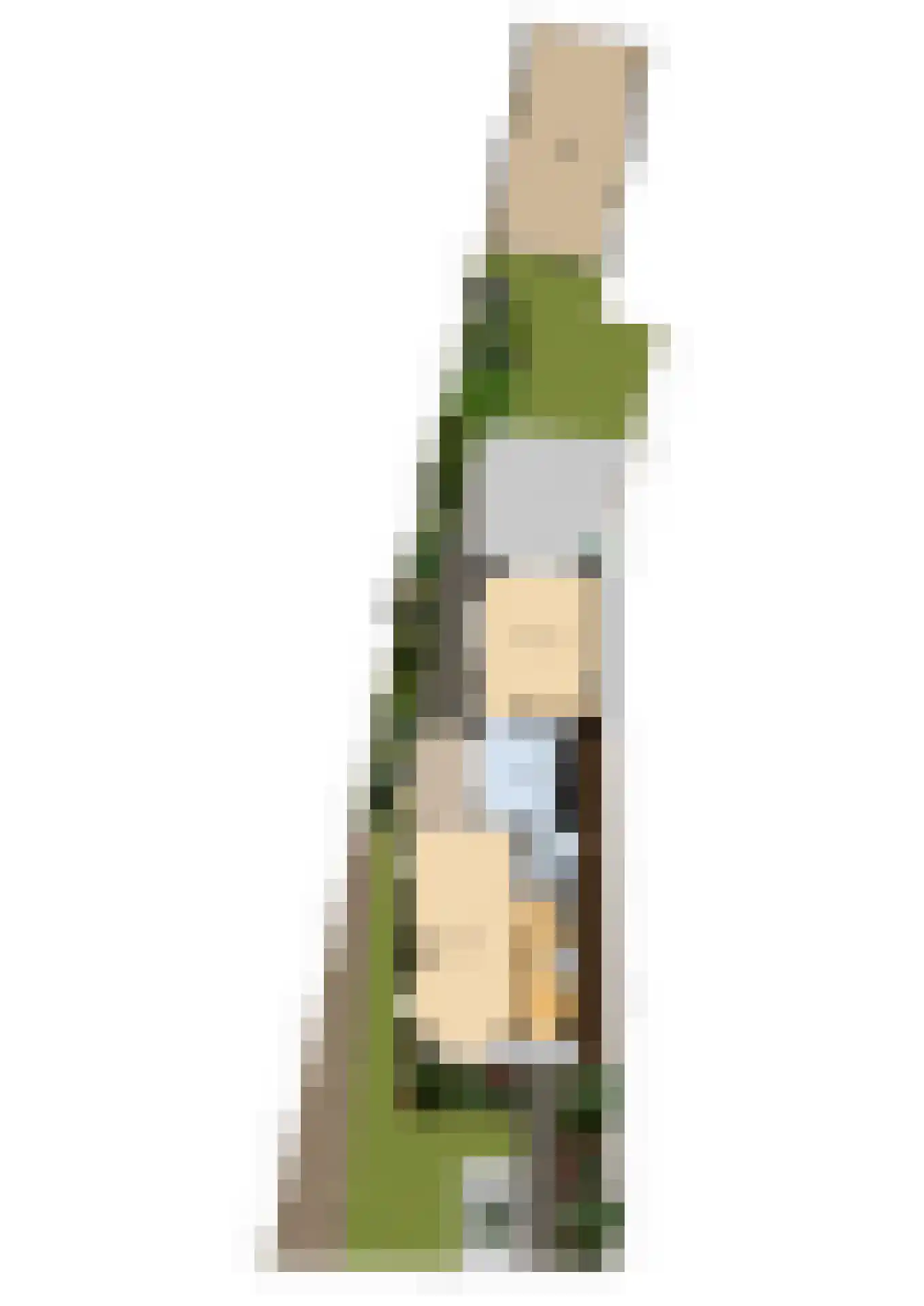 Zwolsestraat 31 Raalte thumbnail 35