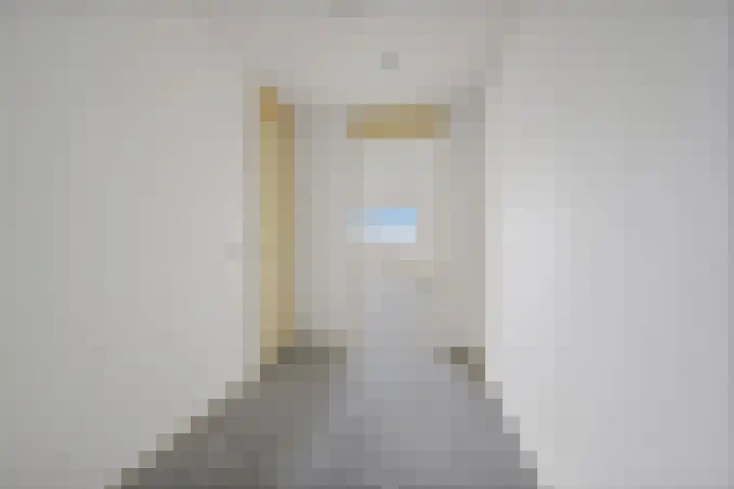 Zwolsestraat 340 Den Haag thumbnail 11