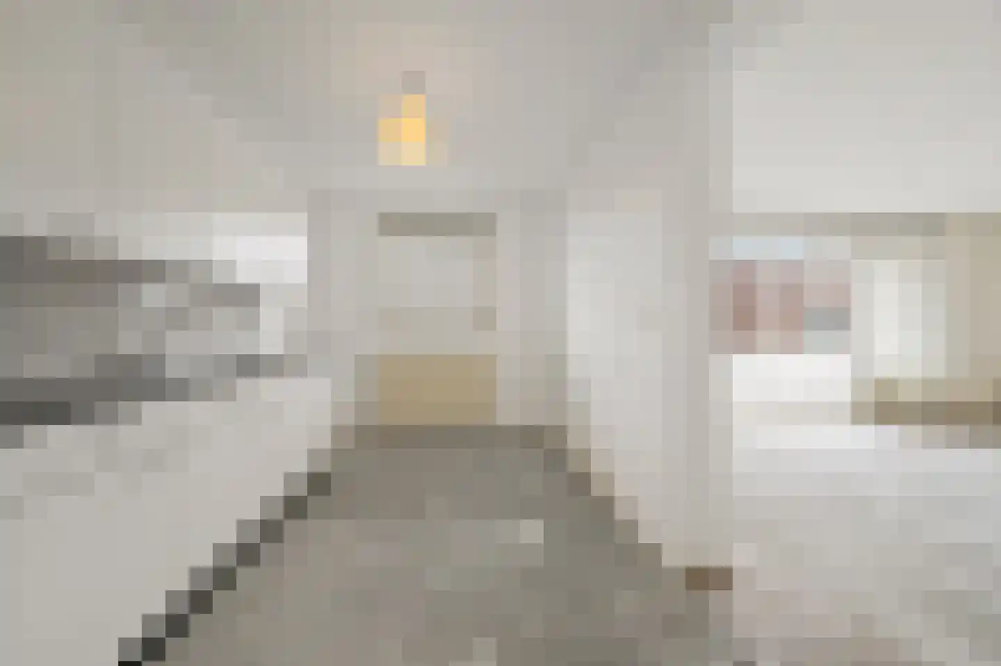 Zwolsestraat 340 Den Haag thumbnail 19