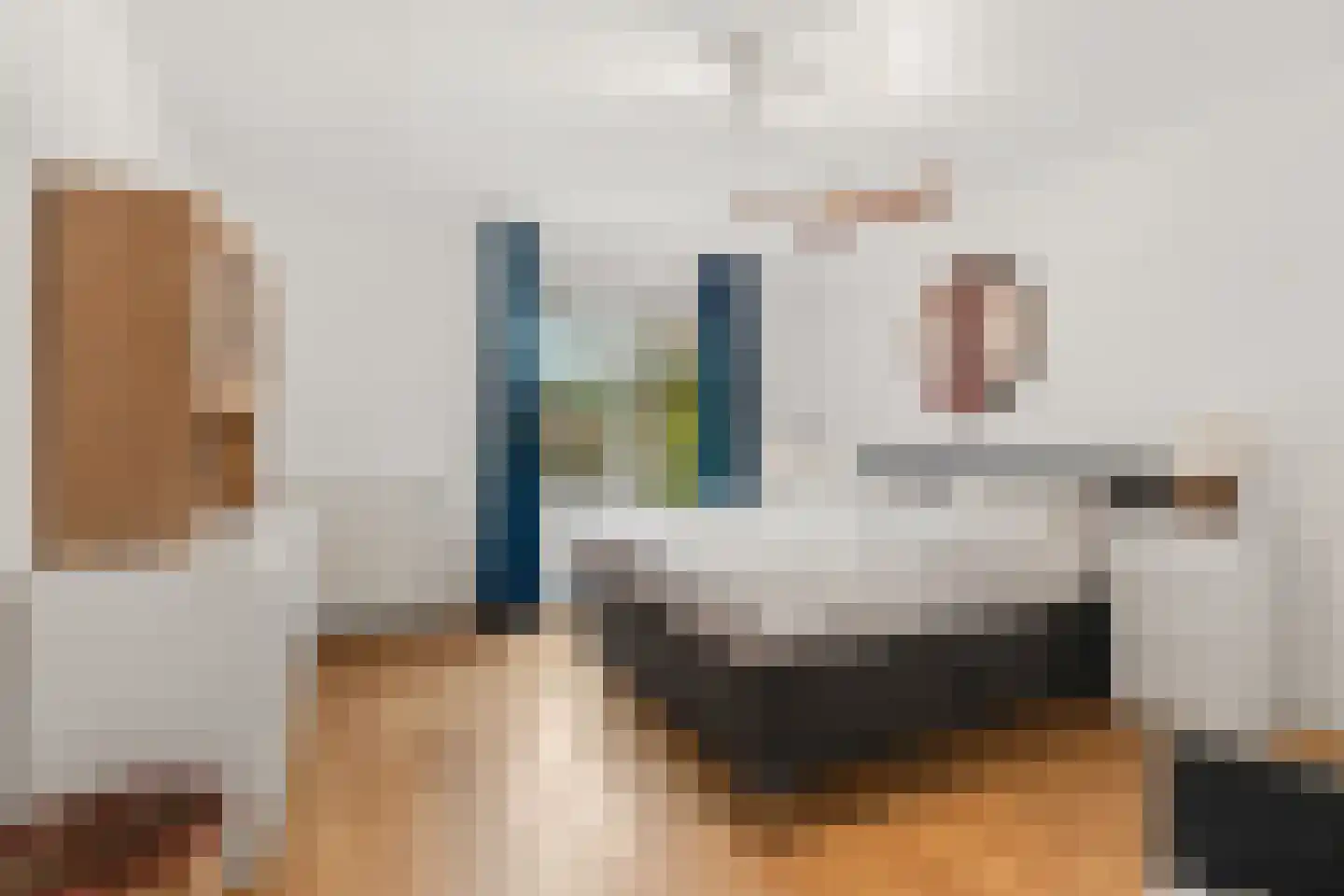 Zwolsestraat 344 Den Haag thumbnail 4