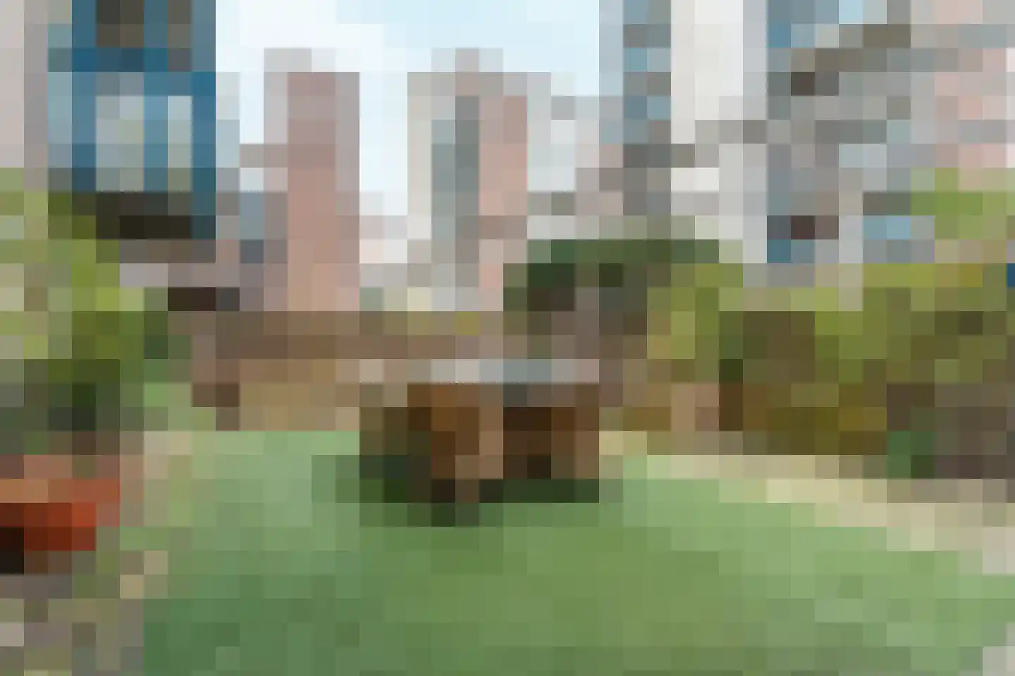 Zwolsestraat 344 Den Haag thumbnail 5