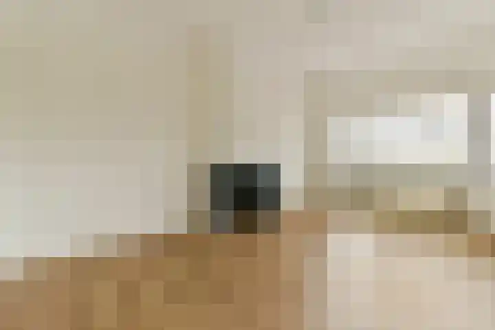 Zwolsestraat 363 Den Haag thumbnail 7
