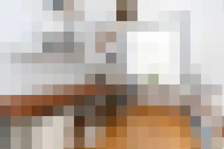 Zwolsestraat 365 Den Haag thumbnail 11